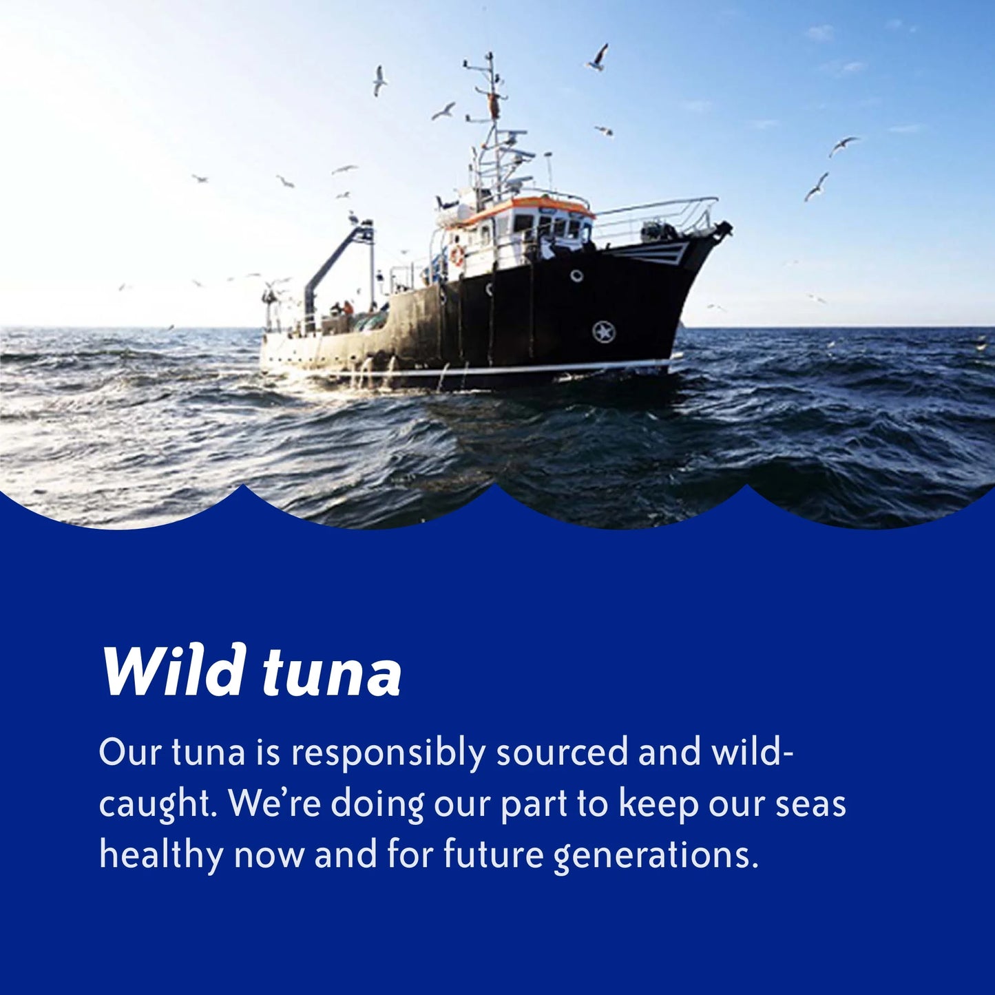 Chicken of the Sea Chunk Light Tuna In Water 4 - 5 oz Cans