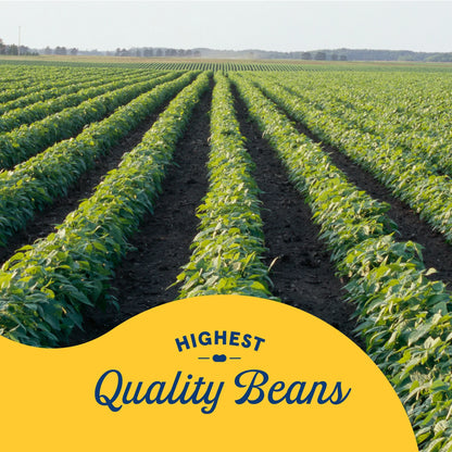 Bush's Black Beans, Canned Beans, 15 oz